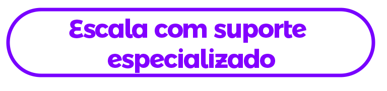 Escala com suporte especializado